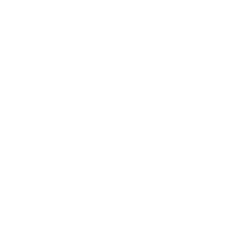 Programmer Computer Icon